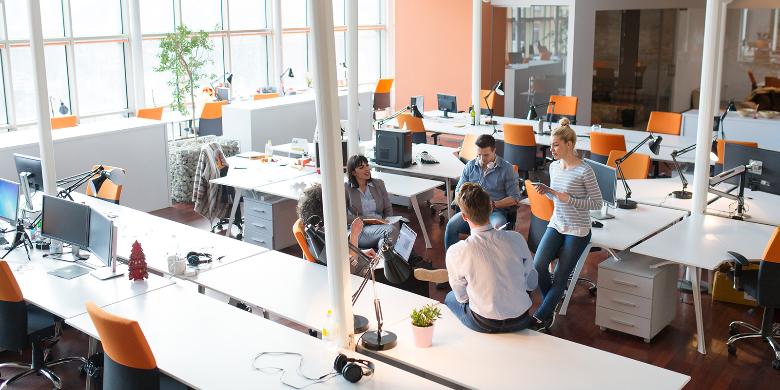 How New Employment Laws Will Change the Workplace