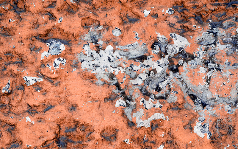 FDA warns 1ViZn that Velocity ingredient DMBA is adulterated product